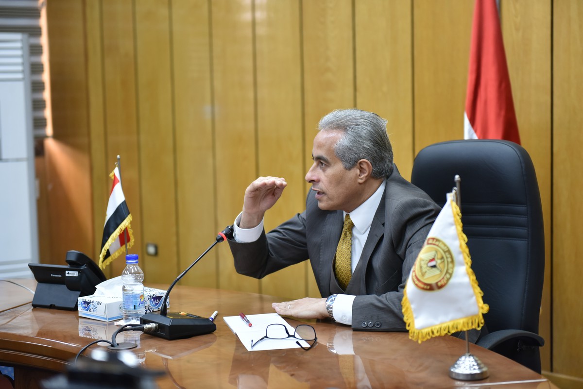 وزير القوى العامله 